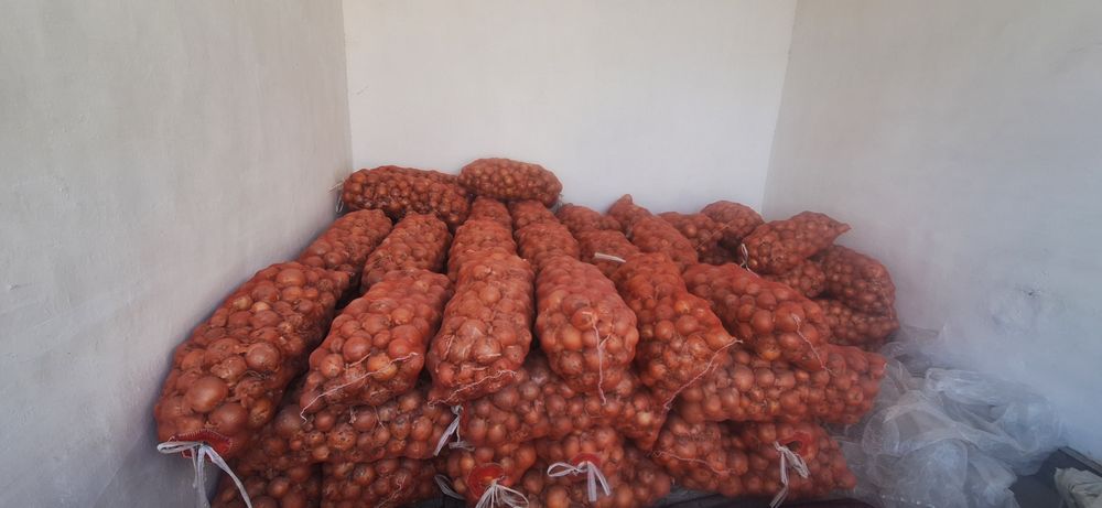 Optom piyoz sotiladi