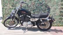Harley davidson sportster 1200 xl custom