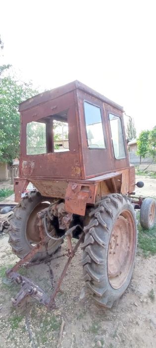 T25 1981-yil Dakumenti bor