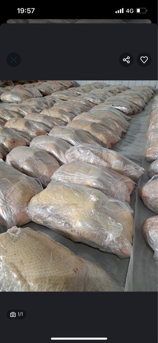 Продам  гусей пароды Линда