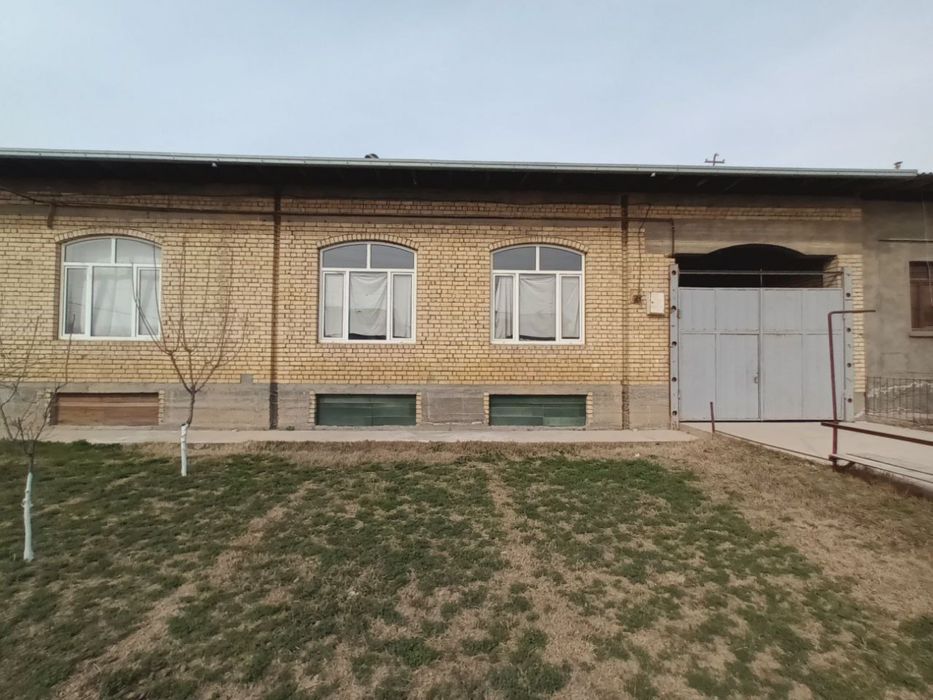 Назарбек  Тарнов репром