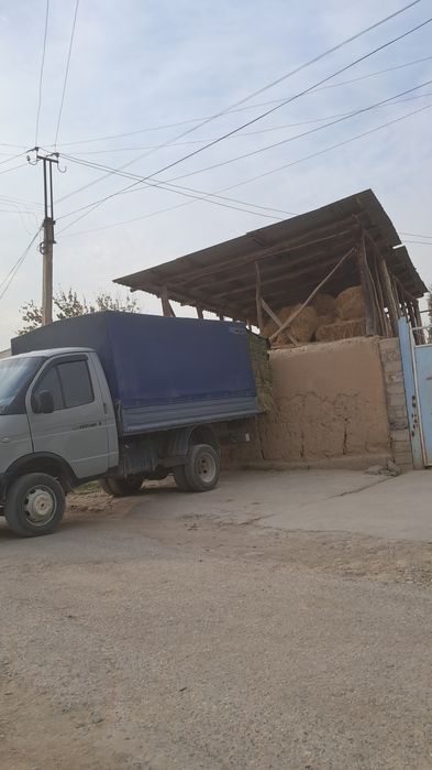 Сомон беда хашак прес бор