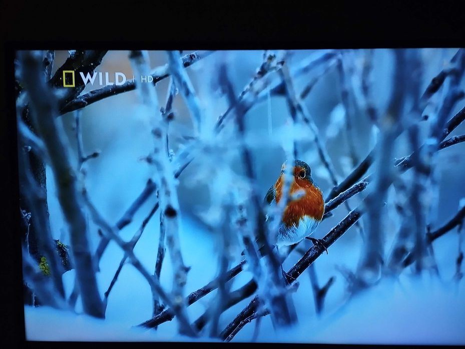 Телевизор 43' Philips UHD 4K SMART като нов