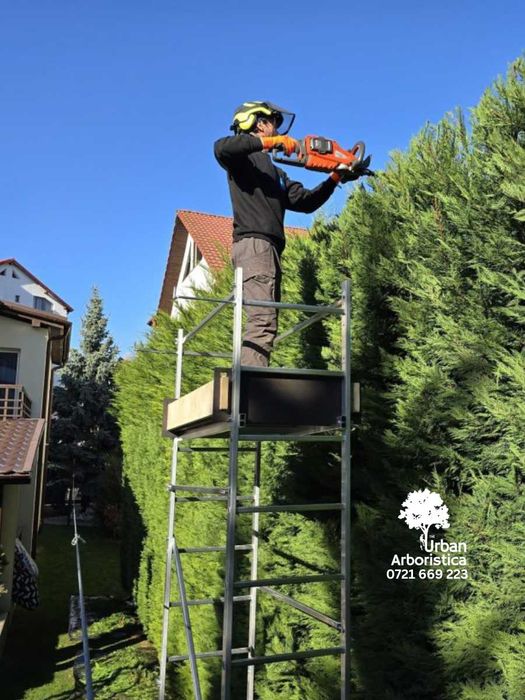 Toaletare Taiere Copaci Pomi, Tocat, Stropit - Alpinist Arborist Buzău