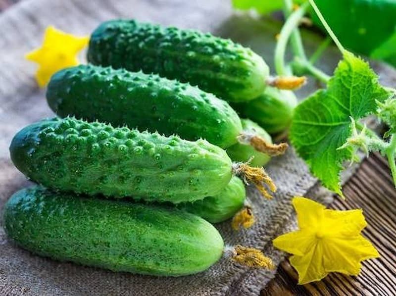 Огурцы дачные домашние свежие засолочные в Астане