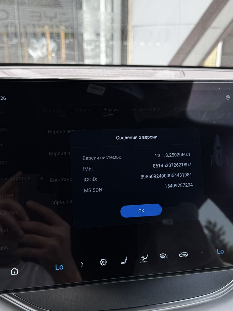Руссификация BYD