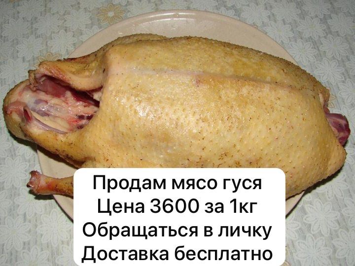Продам мясо домашнего гуся