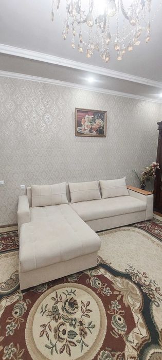 Диван раскладной плюс сундук.