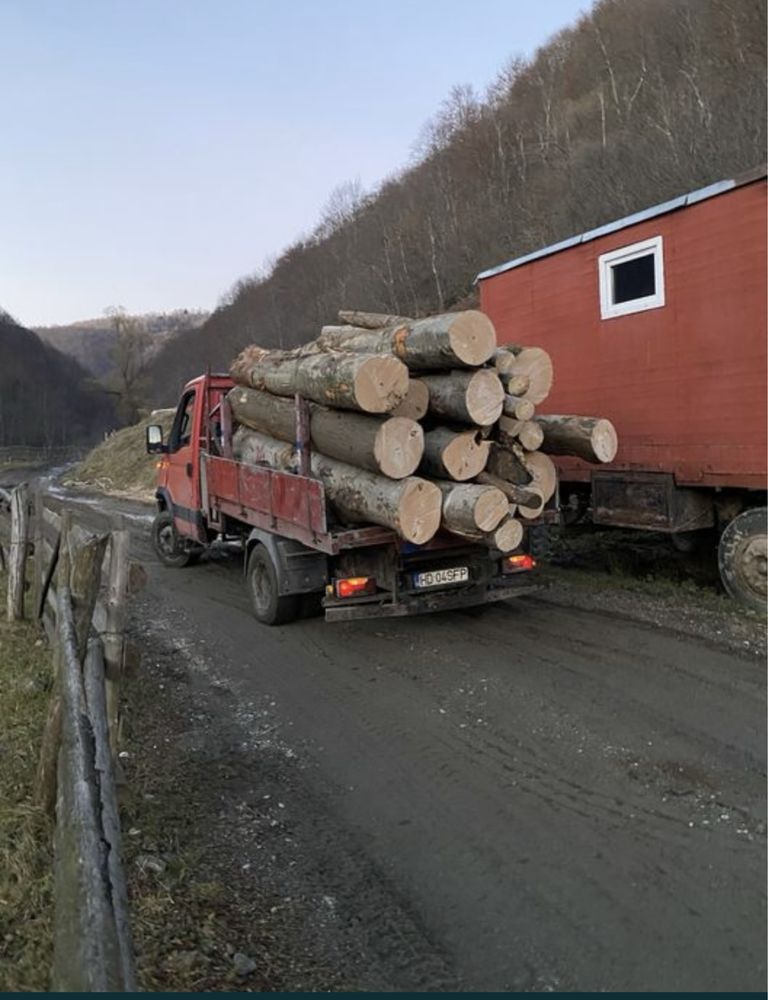 Lemn de Foc ,tot judetul Hunedoara !!!