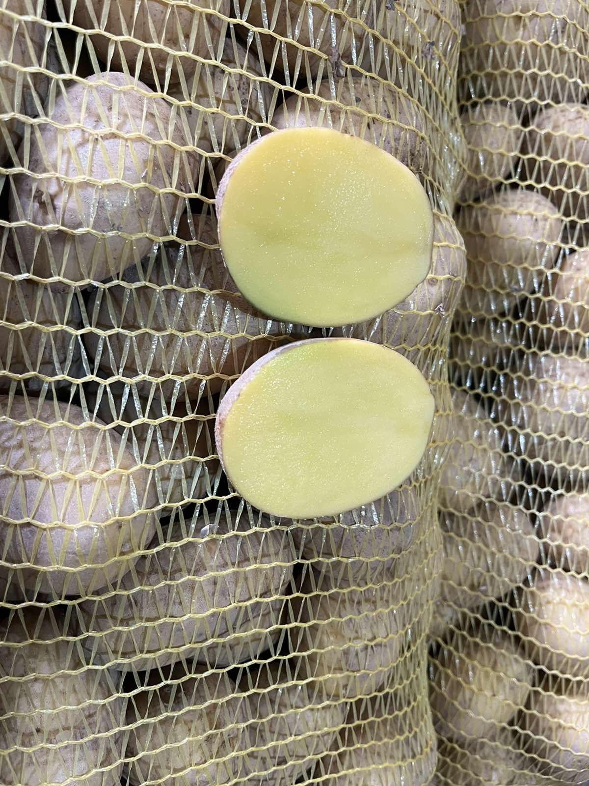 Семена картофи и картофи за консумация.