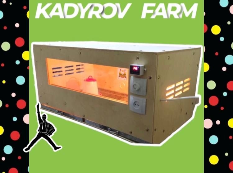 Экономичный брудер — меньше затрат, больше прироста