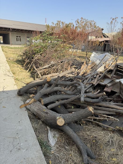 1 мошина утин бор сотилади!