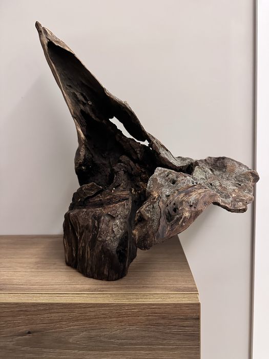 Арт корени, декорция