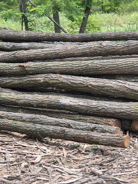 Vind lemn foc salcim tăiate capete