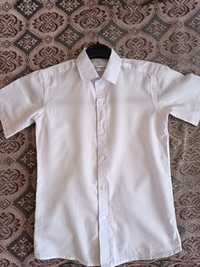 Белая рубашка с коротким рукавом на мальчика 34 размер, 10 лет, хлопок