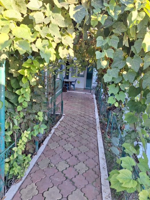 Vanzare casa Cumpana