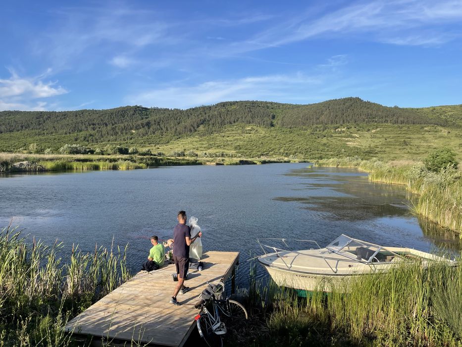 Vindem puiet crap, amur, cteno, novac, fitofag, cosas, singer, somn