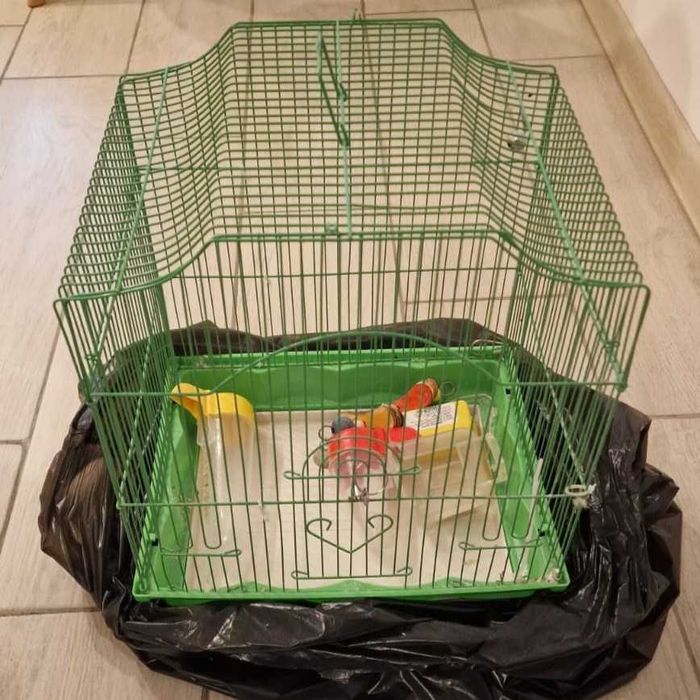 Colivie metalica medie pasari papagal canar pasare + accesorii