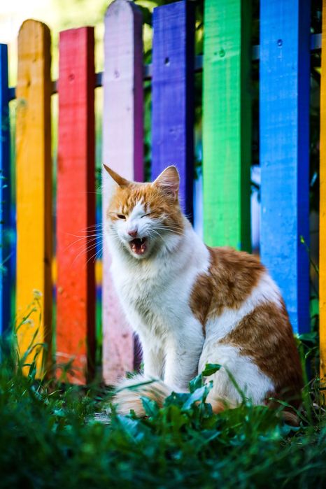 Canon 75-300mm f/4-5.6 II EF обектив Канон #2/3