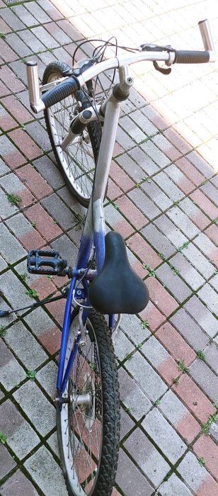 Bicicleta. Pegasus