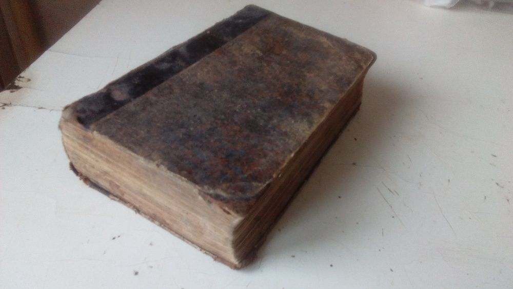 die bibel seilige schrift dr.martin luthers koln 1853