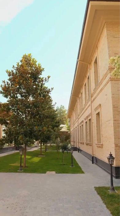 Эксклюзивное предложение!