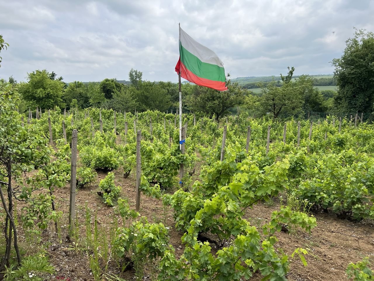 Продава се Къща в Плевен, Индустриална зона - Запад - 20 кв.м за 600 €/кв.м - Снимка #16