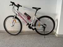 Bicicleta MTB TEC Eros roata 26”