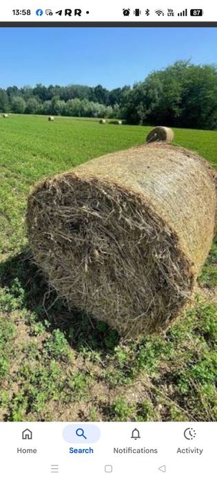 Vând baloti lucerna de 160