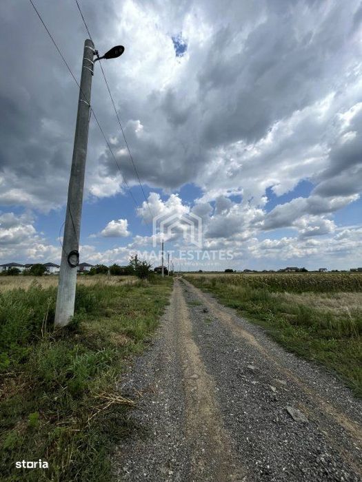 Vanzare Teren Ciorogarla - Zona Dezvoltata 3500 Mp Acces Rapid Lacului