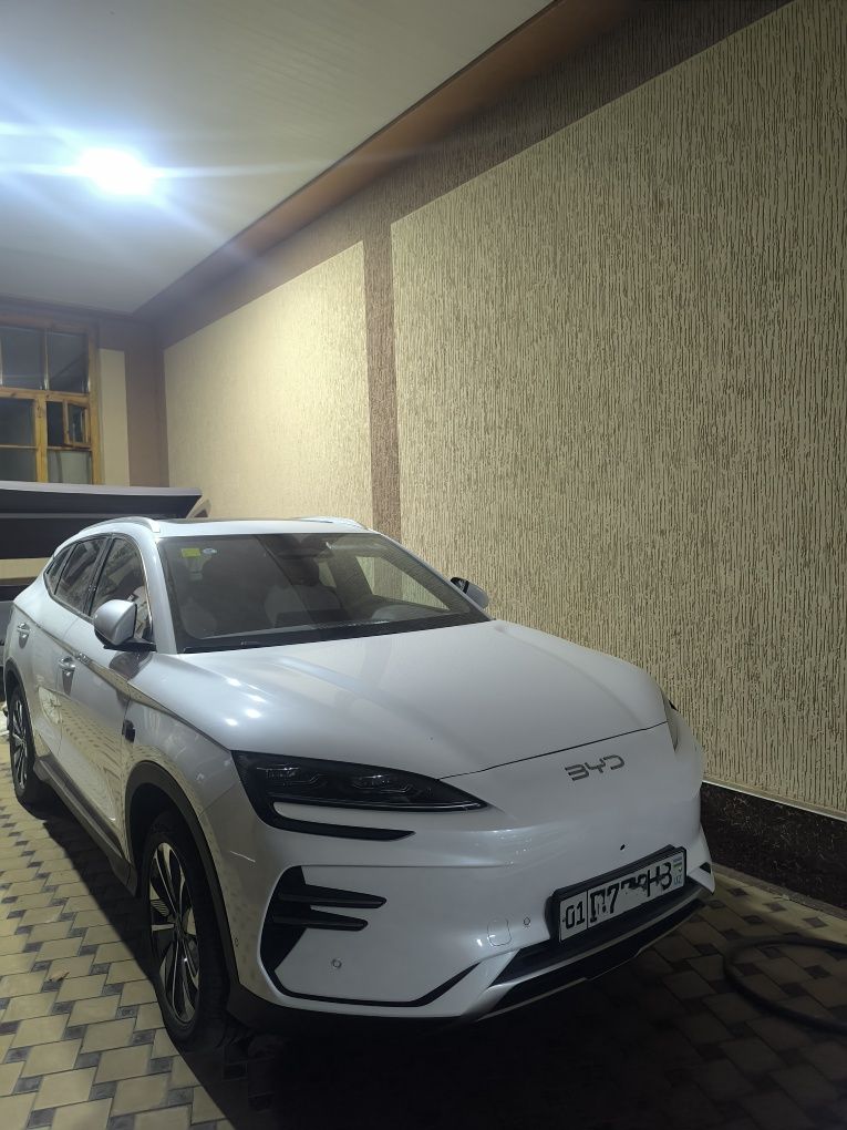Byd champion smart 2025 sotiladi
