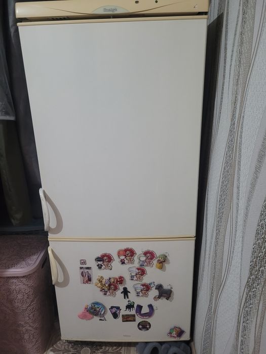 Холодильник Snaige, высота 145 см., ширина 60 см., глубина 55 см.