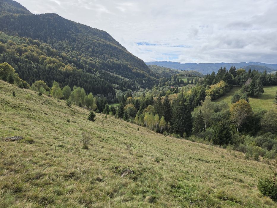 Teren in Valea Cheii, Dimbovicioara