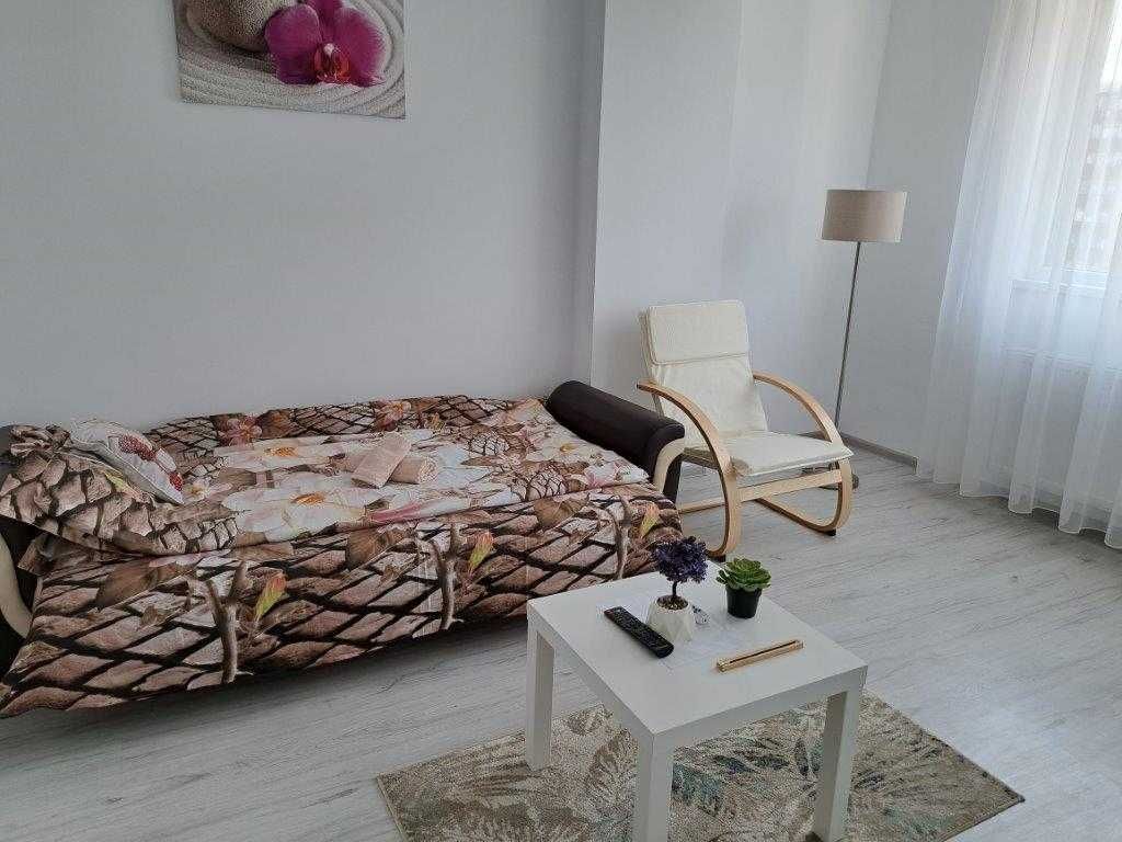 Inchiriez garsoniera Tineretului, Proprietar
