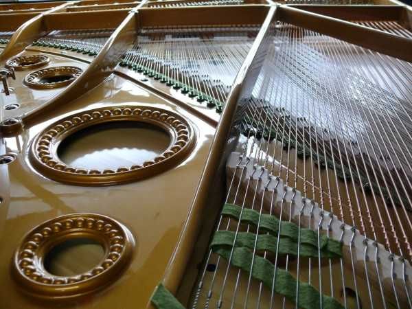 Pian de Concert - C. Bechstein B 203