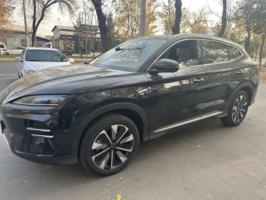 BYd CHempiyon 2025 yil