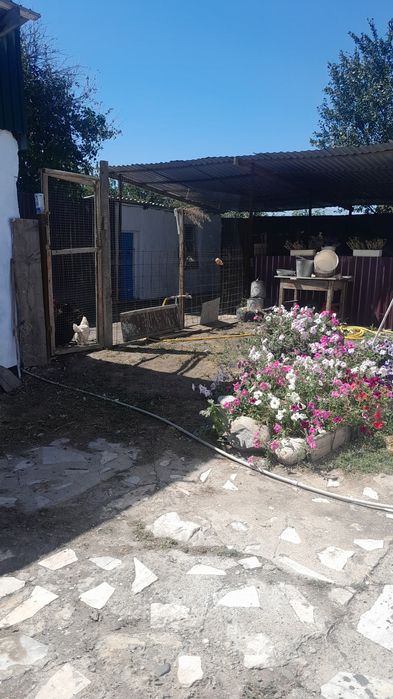 Продаеться дом с обстановкой и машиной