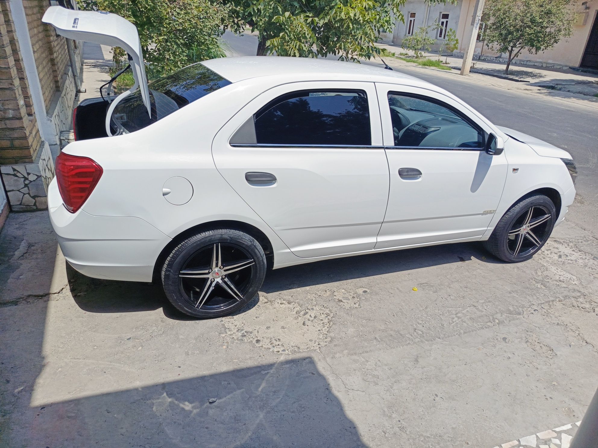 kobilt moshini tayor xolata kami bor