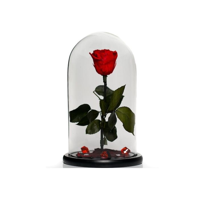 Trandafir Criogenat în Cupola de Sticla și blat de lemn