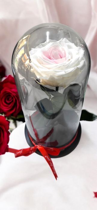 Trandafiri criogenati!