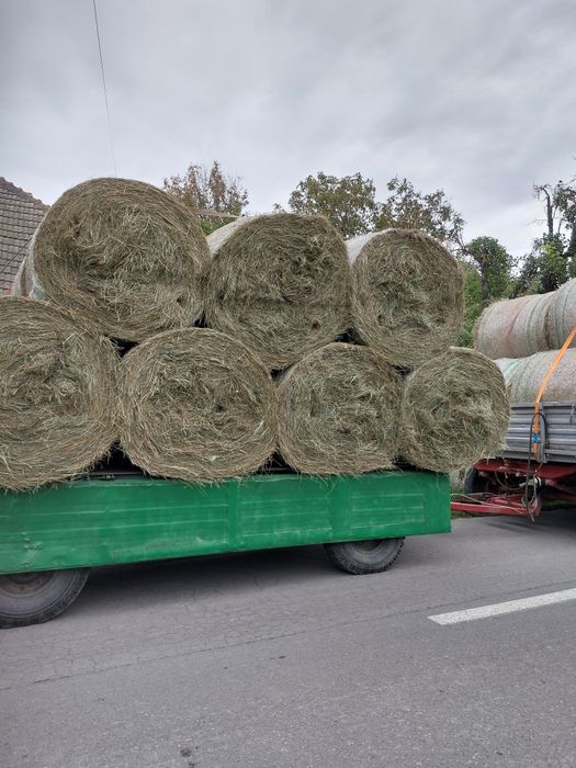 Vând baloti de otava, fan și lucernă rotunzi