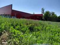 Movilita (IL)-teren de inchiriat aprox. 2 ha stradal, langa Profi