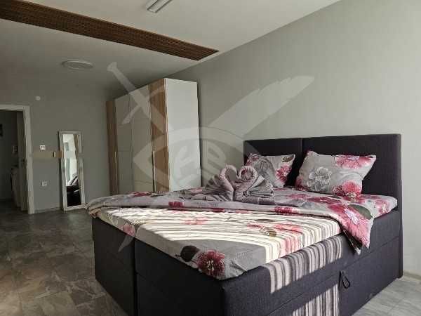 Двустаен апартамент под наем в Съдийски 11618871