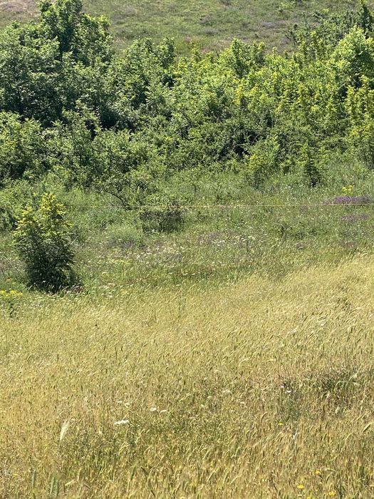 Земеделска земя Белащица/Марково