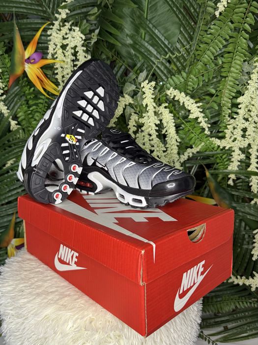 Nike Air Max Plus TN Black Silver
