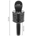 Microfon karaoke