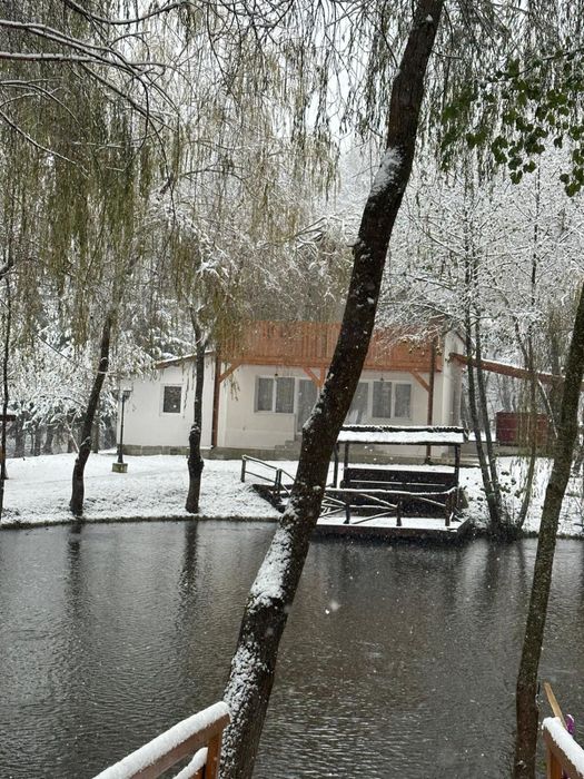 Oferta de Revelion 2026 : Vila Lac Resort Codrii Vlasinului Vanatori