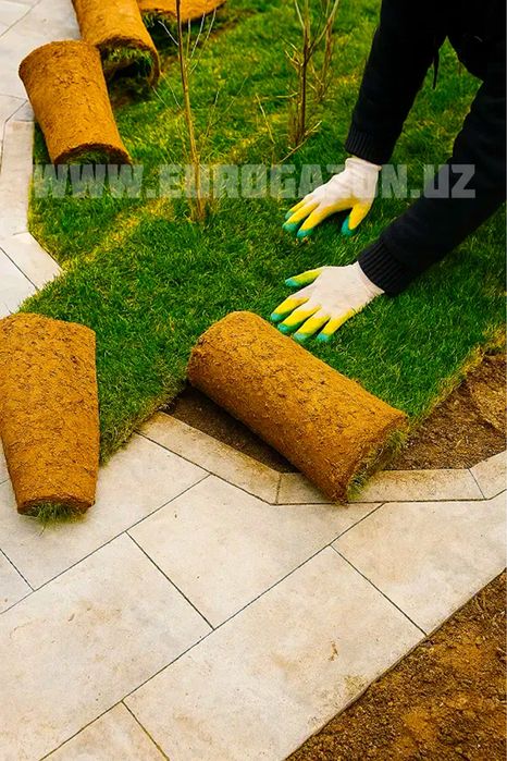 Газон готовый рулонный Gazon tabiy