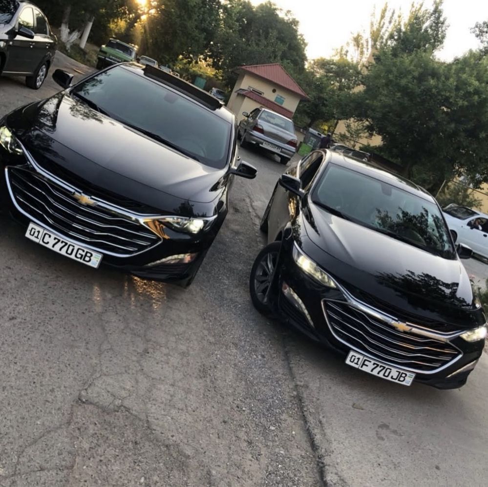 Arenda suxoy kunlik ijara avto prokat