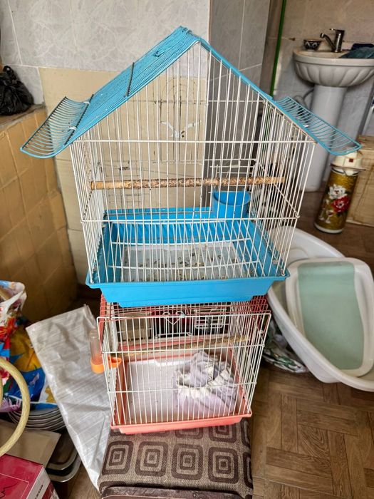 клетка для канареек